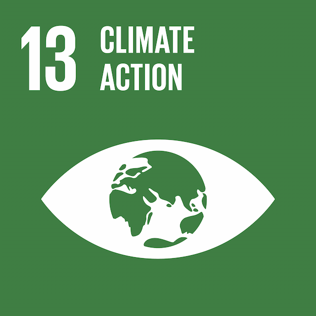 SDG 13 - Climate Action