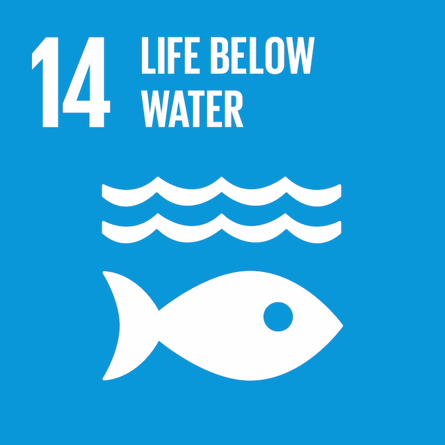SDG 14 - Life Below Water